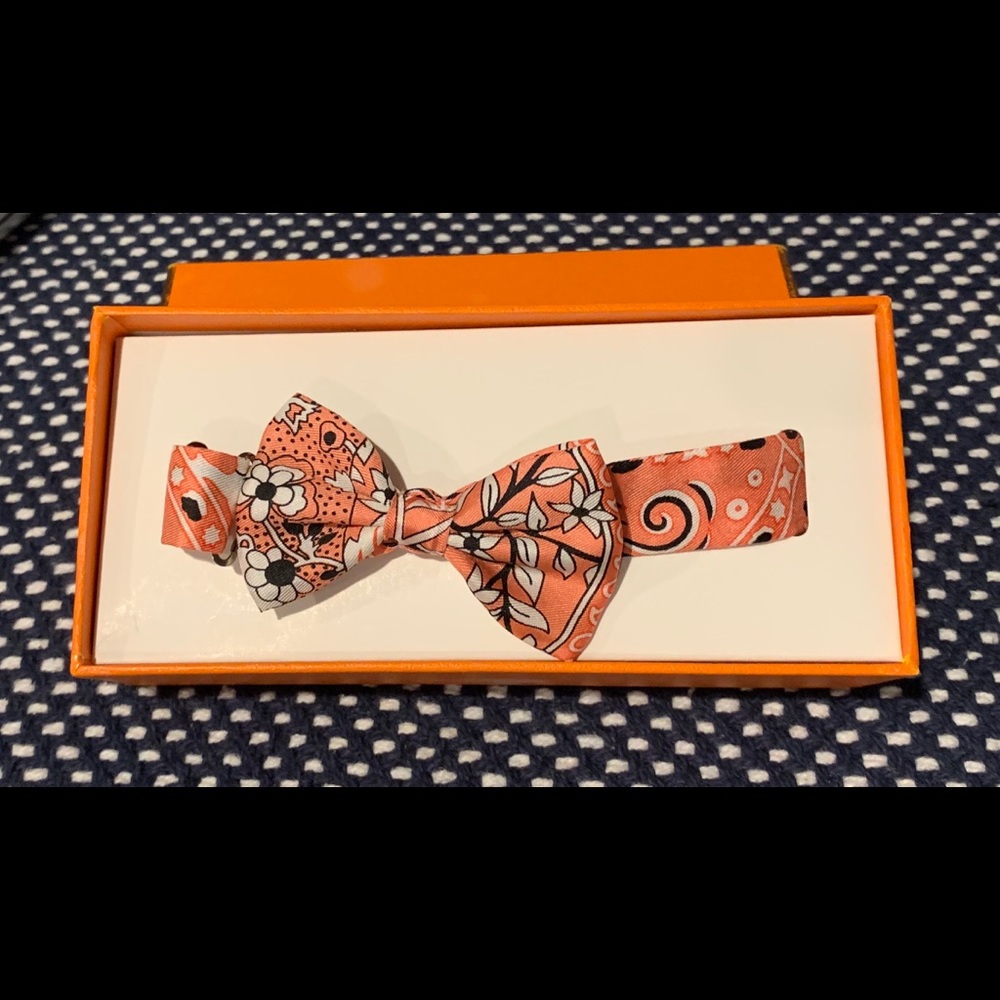 Hermès Bow Tie Pink and Blue